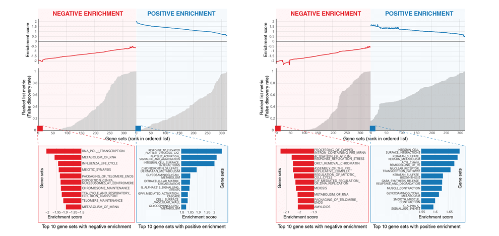 deep-learning-lung-cancer-prognostication-retrospective-multi-cohort-radiomics-study-4